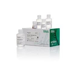 magmax mirvana|Automated Nucleic Acid Extraction Kits .